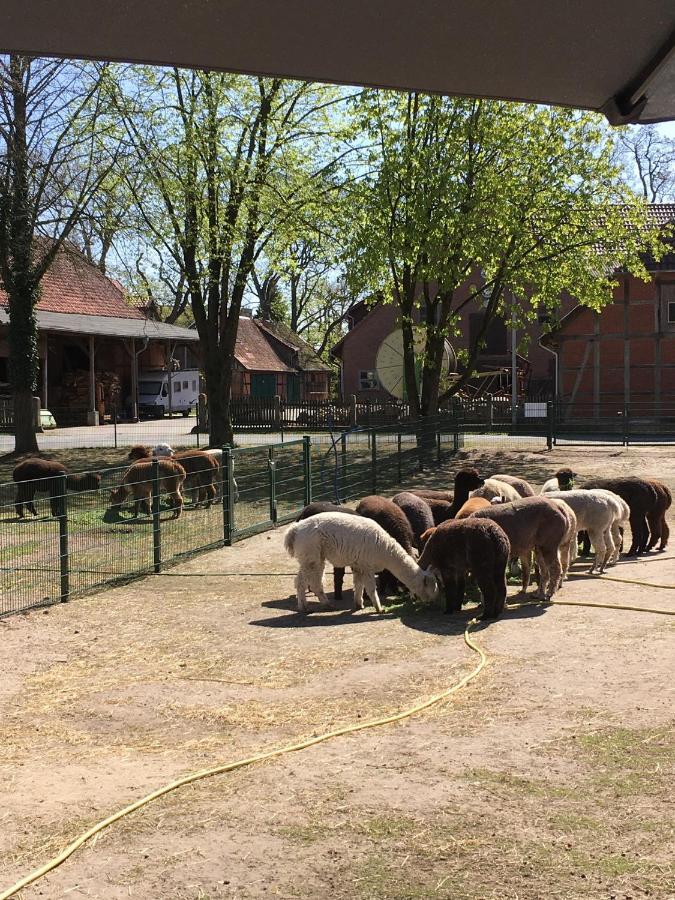 Ferienwohnung Bungenhof Alpacas Целле Екстер'єр фото